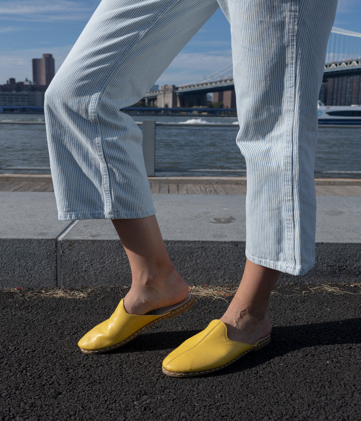 New In – Mule